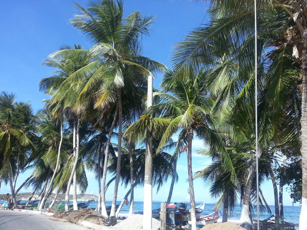 Orilla y palmeras de Playa El Agua en la isla de Margarita
