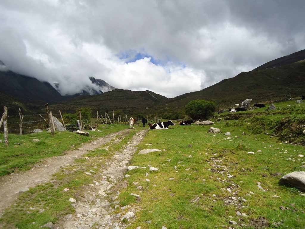 Camino y paisaje de montaña en el Páramo La Culata, Mérida