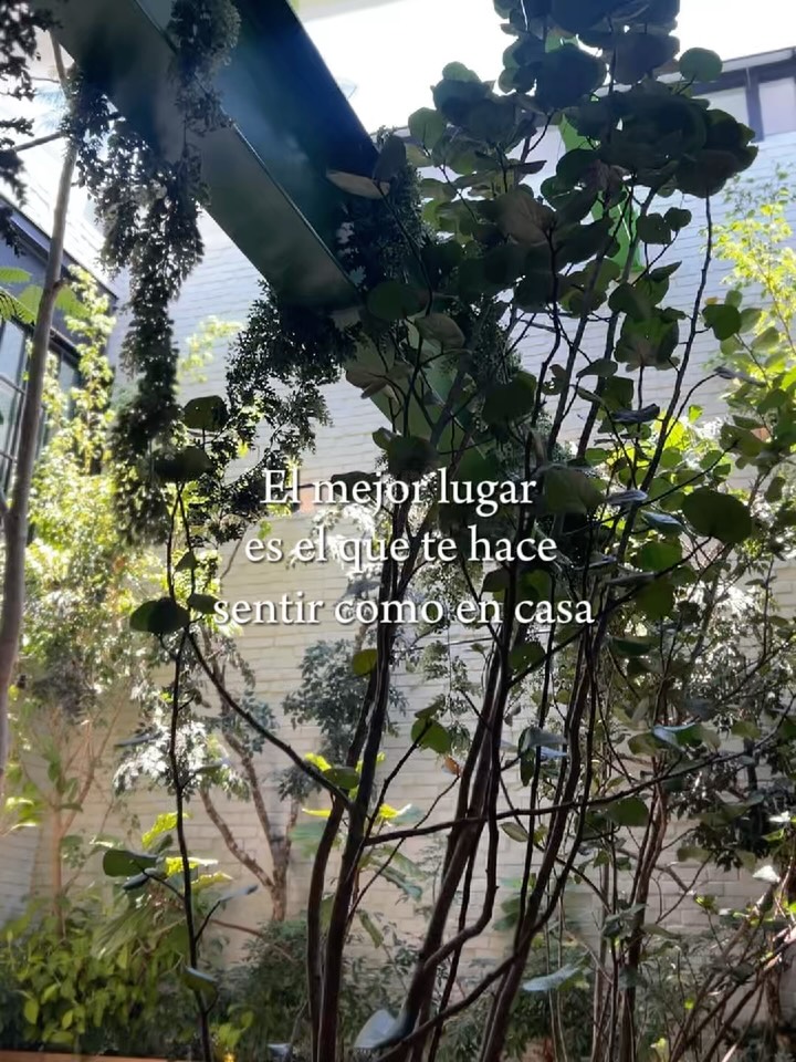 Mola Caracas en Las Mercedes