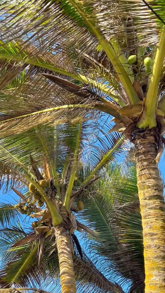 Experiencia de playa en Bella Lora